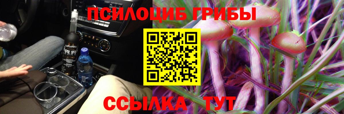 Галлюциногенные грибы прущие грибы Ишимбай